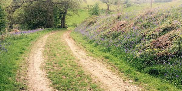 Fabulous Farm Rides